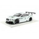 Cochesdemetal.es 2012 Bentley Continental GT3 Concept Car Paris 1:18 True Scale TSM131804R