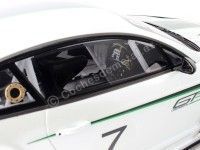 Cochesdemetal.es 2012 Bentley Continental GT3 Concept Car Paris 1:18 True Scale TSM131804R