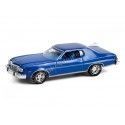 Cochesdemetal.es 1974 Ford Gran Torino Sport 2-Door Hardtop "GL Muscle Series 26" 1:64 Greenlight 13310B