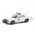 Cochesdemetal.es 1982 Plymouth Gran Fury Arizona Highway Patrol "Hollywood Special Thelma & Louise" 1:64 Greenlight 44945C