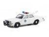 Cochesdemetal.es 1982 Plymouth Gran Fury Arizona Highway Patrol "Hollywood Special Thelma & Louise" 1:64 Greenlight 44945C