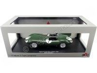 Cochesdemetal.es 1955 Jaguar D-Type Longnose Nº7 Rolt/Hamilton 24h LeMans 1:18 CMR194