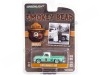 1965 Dodge D-100 "Smokey Bear Series 1" 1:64 Greenlight 38020B