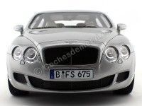 Cochesdemetal.es 2010 Bentley Continental Flying Star by Touring Gris 1:18 BoS-Models 059