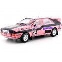 Cochesdemetal.es 1987 Audi Quattro A1 "French Rallycross Championship" 1:18 Sun Star 4251